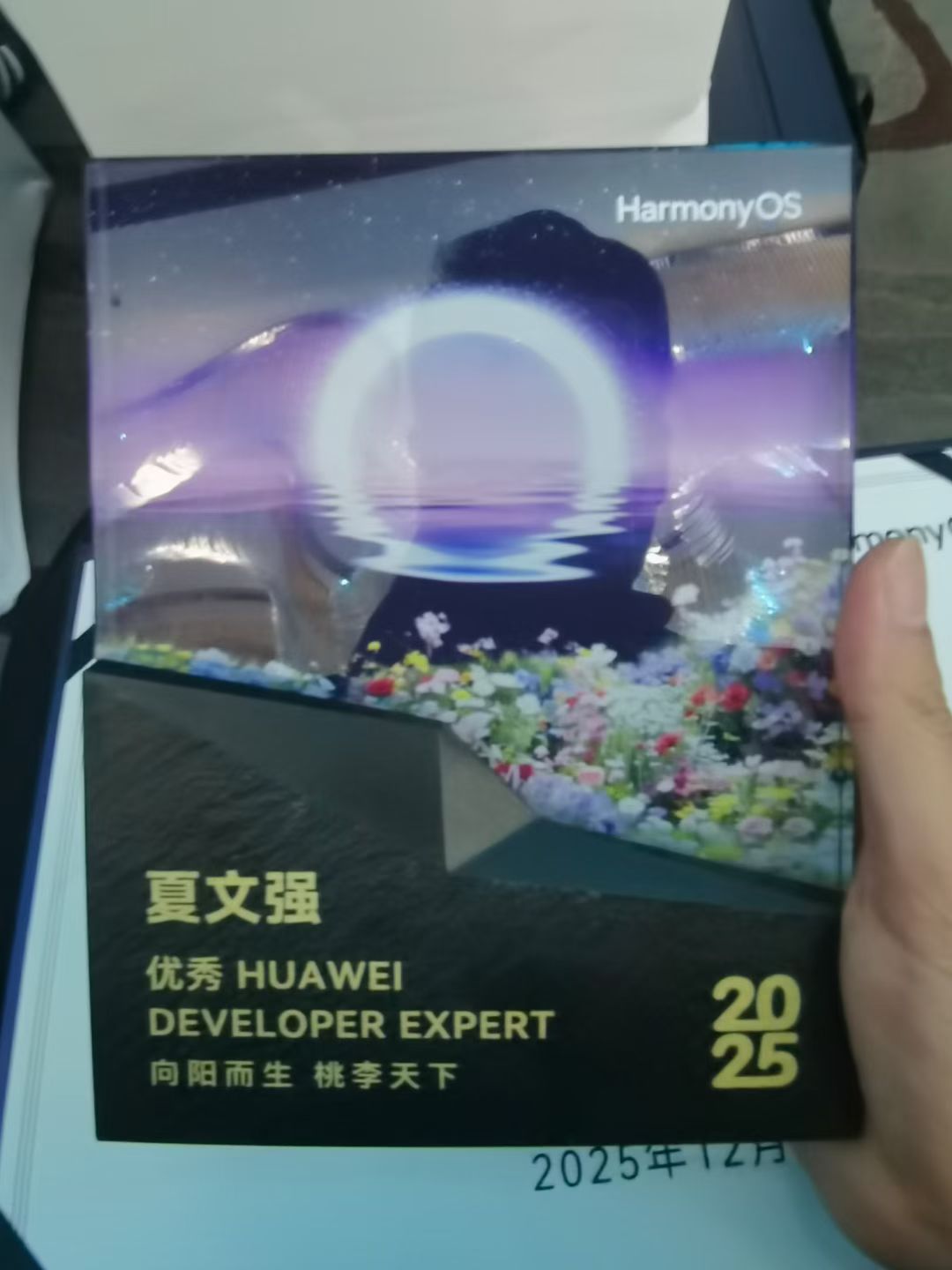 优秀 HDE